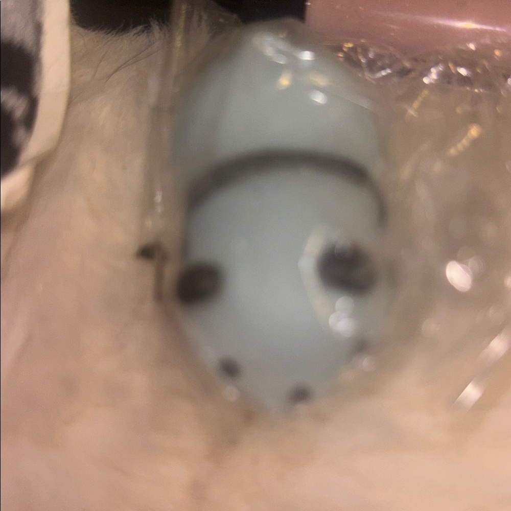 New Cute panda Bear stress squishy